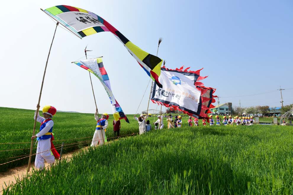 고창청보리밭축제