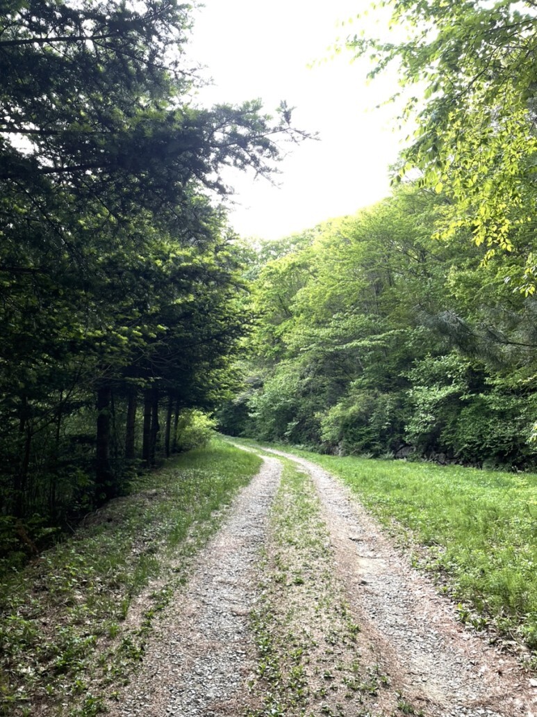 민주지산