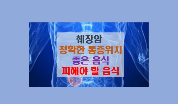 췌장암 정확한 통증위치