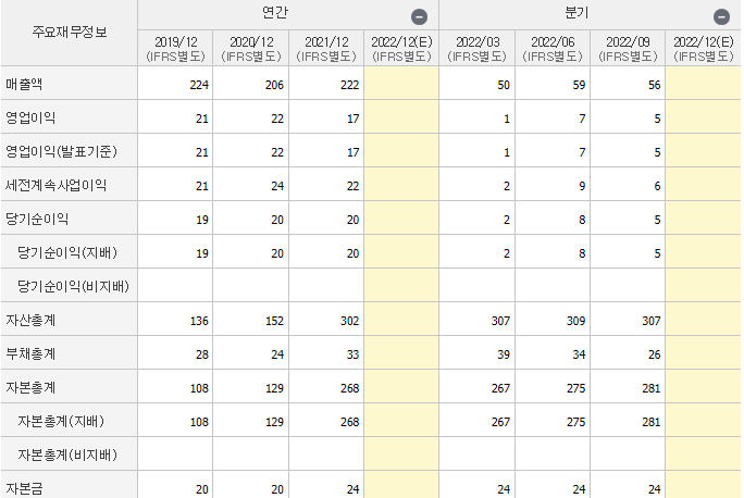 싸이버원-기업실적