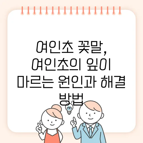 여인초 꽃말, 여인초의 잎이 마르는 원인과 해결 방법