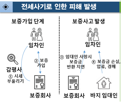 안심전세앱
