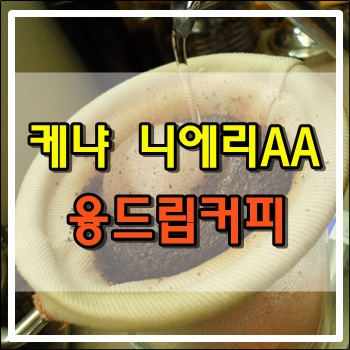  케냐 니에리AA 융드립커피 내리기