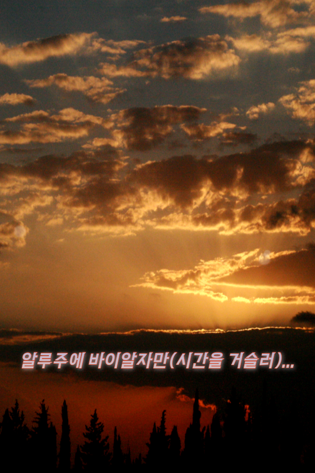  소설 쓰기 도전 해 보자.