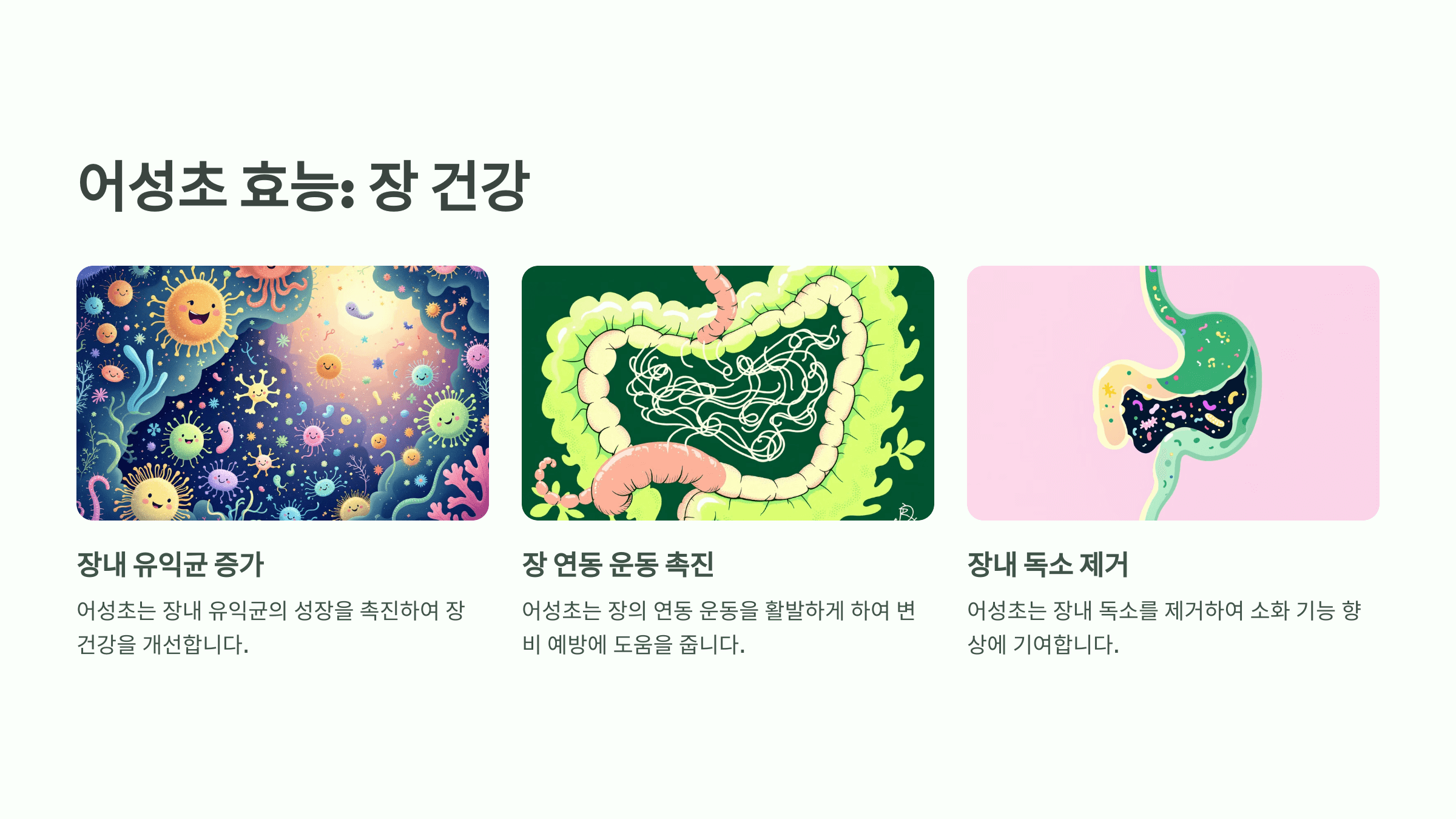 어성초 사진입니다.