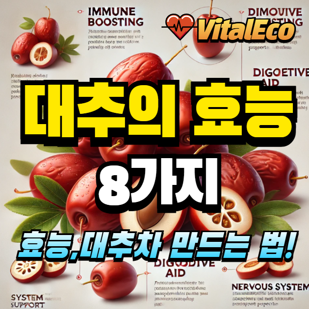 대추의 효능