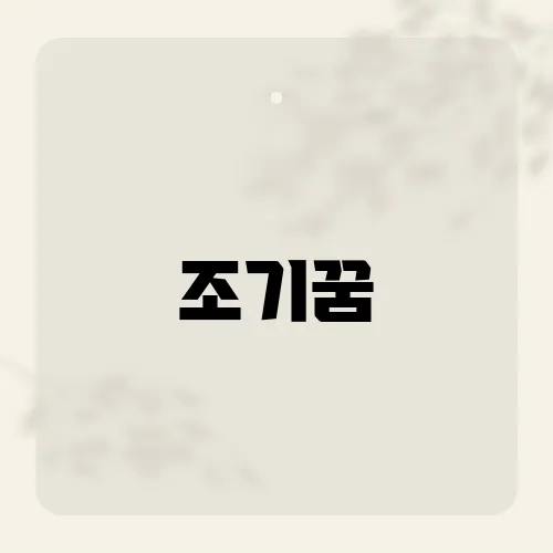 조기꿈, 새벽처럼 기회가 온다?