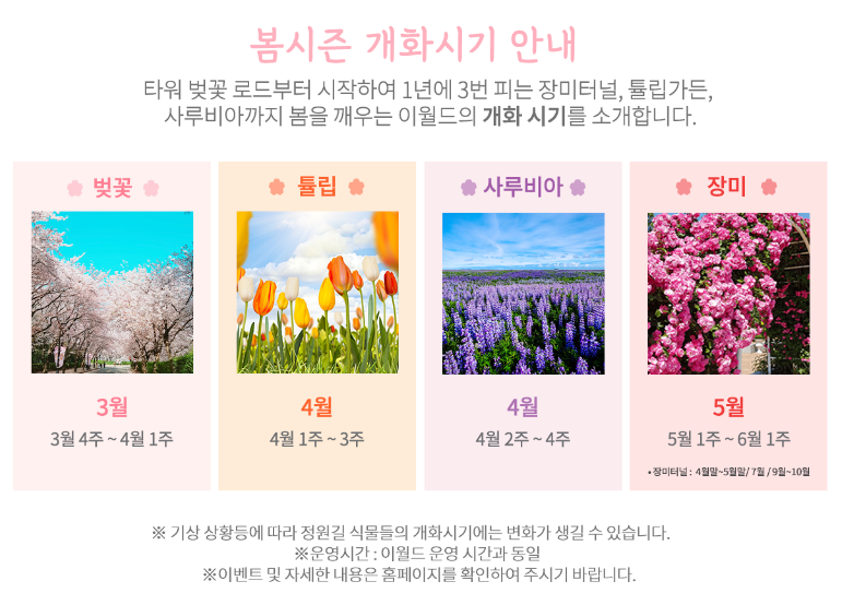 벚꽃 축제