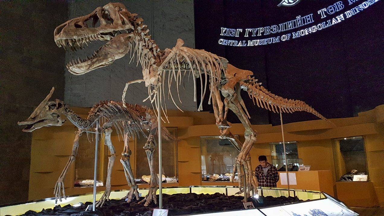 몽골공룡중앙박물관