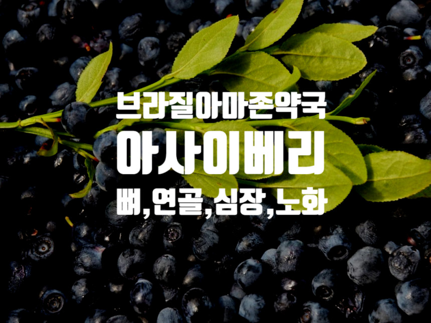  아사이베리의 효능 <뼈,연골,심장,노화>