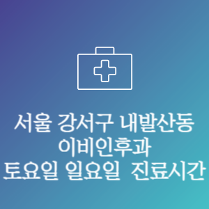 서울 강서구 내발산동 이비인후과 주말 토요일 일요일 문여는 병원 진료시간