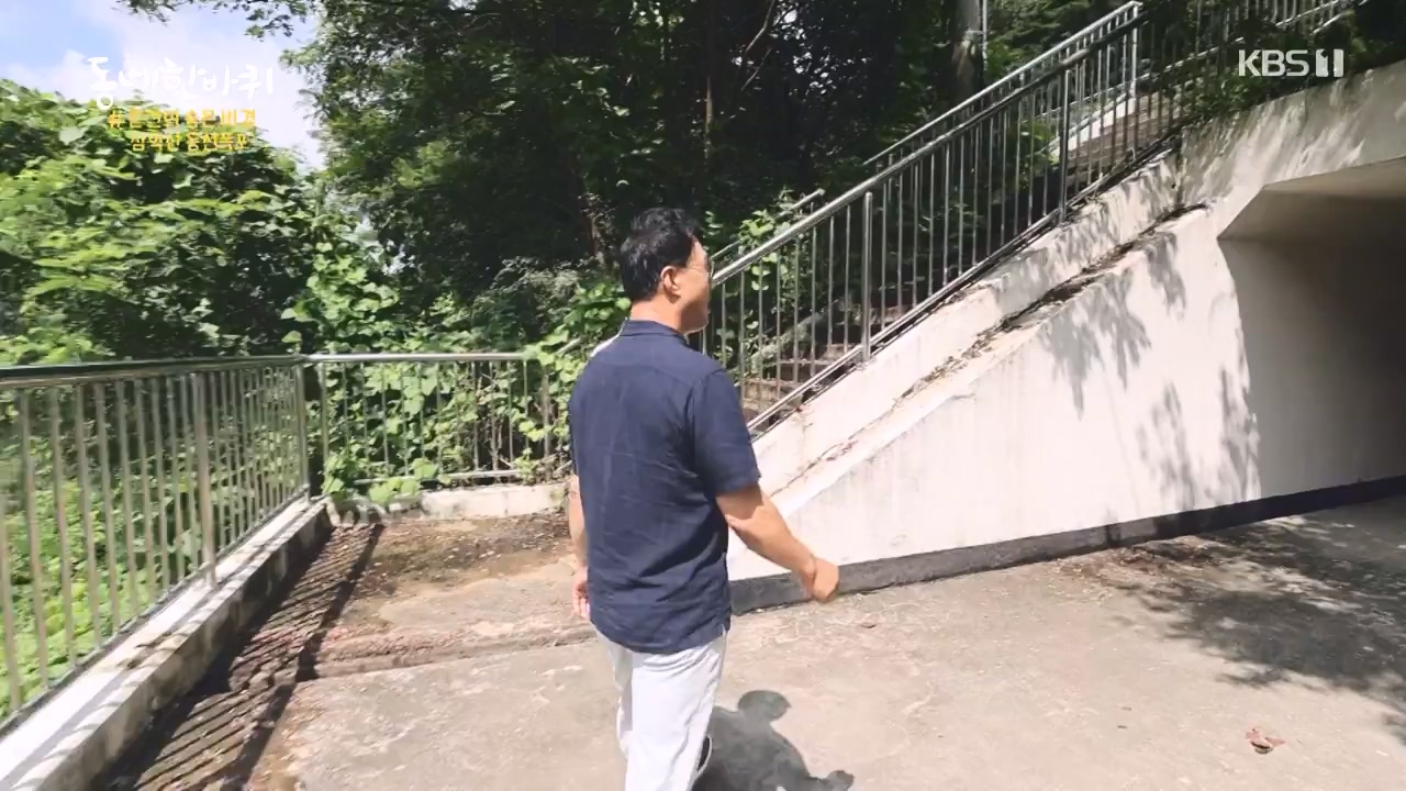 동네 한 바퀴.E237.230827p-NEXT.mp4_20230829_212633.627.jpg