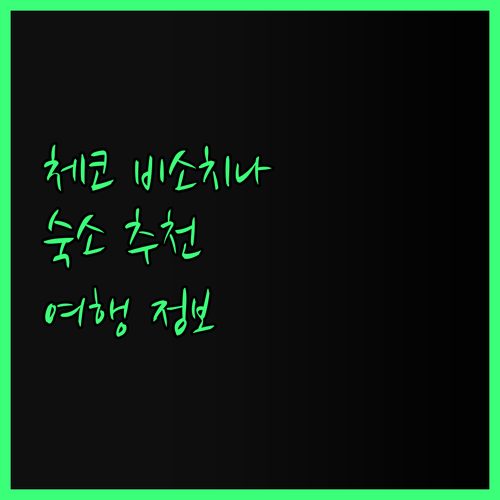 체코 비소치나 여행? 디자인 아파트먼