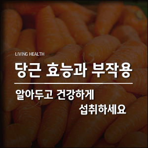  당근 효능과 부작용 알아두고 건강하게 섭취하세요