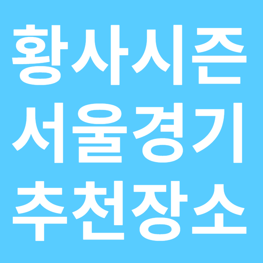 황사시즌 서울경기 추천장소 포스터