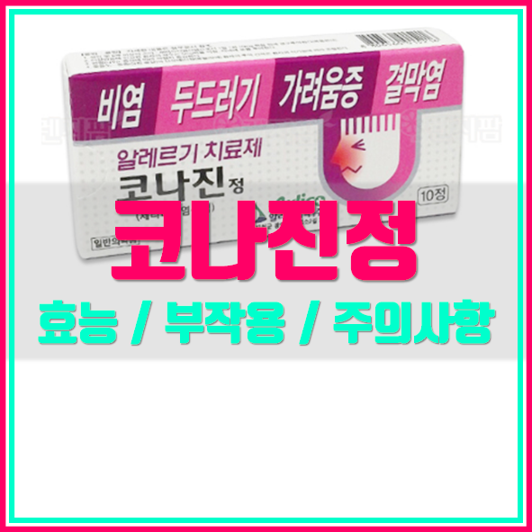  코나진정 알레르기 치료제