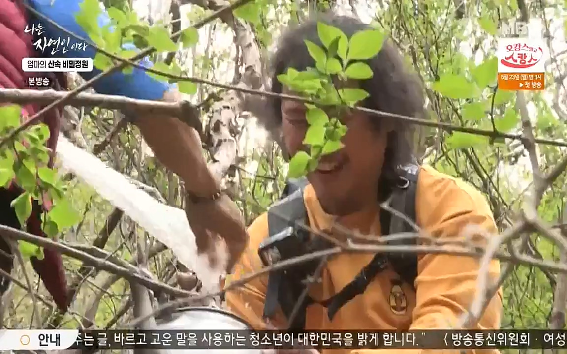나는 자연인이다.E501.220512p-NEXT.mp4_20220512_185613.850.jpg
