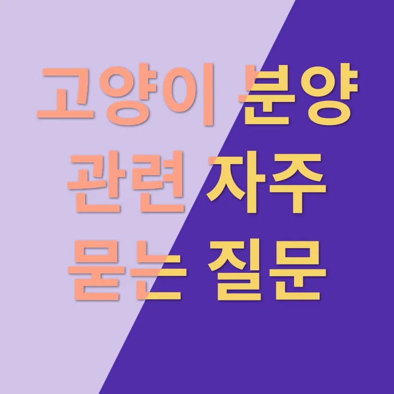 고양이 분양_4