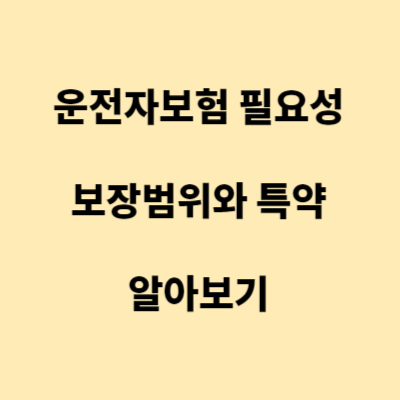 운전자보험의 필요성