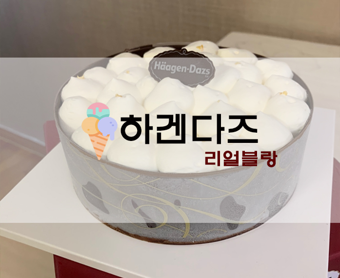  수제아이스크림? 하겐다즈 리얼블랑 아이스크림 케이크