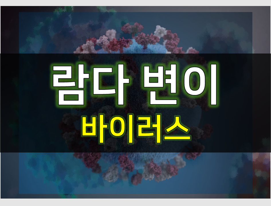  람다변이 백신도안통한다?