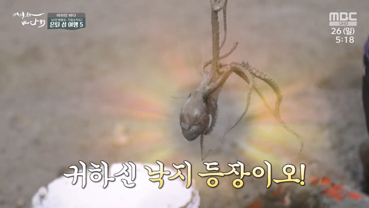 MBC 네트워크 특선 푸른백세 어영차 바다야.E1650.231127p-NEXT.mp4_20231202_165836.757.jpg