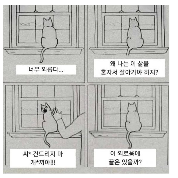 INTP 팩폭 짤