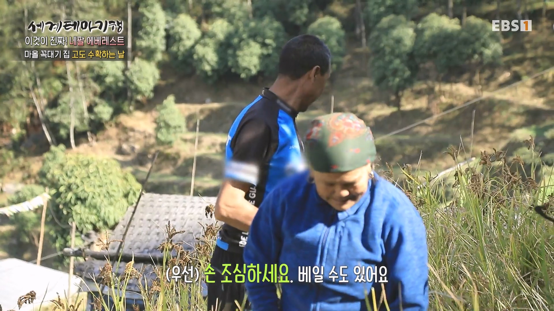 세계테마기행 240124 이것이 진짜! 네팔 에베레스트 -슬기로운 산중 생활0p.mp4_20240723_201452.277.jpg