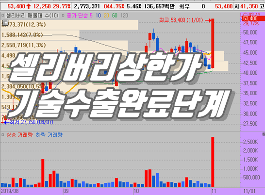  셀리버리 상한가 이유와 주가분석