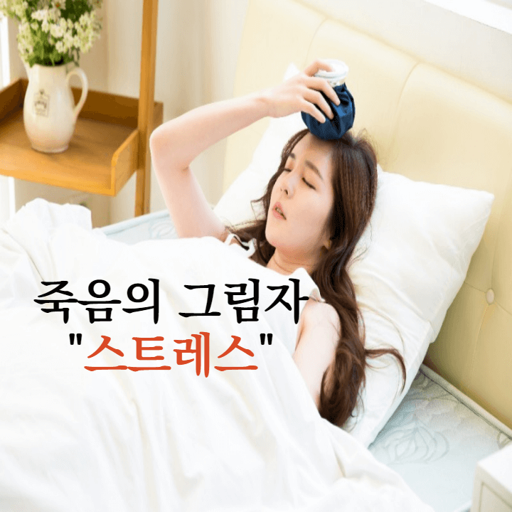  죽음의 그림자 스트레스해소 지압법 총정리