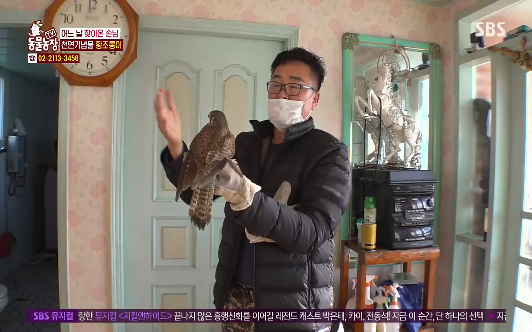 TV 동물농장.E1061.220320p.H264-F1RST.mp4_20220320_183558.619.jpg