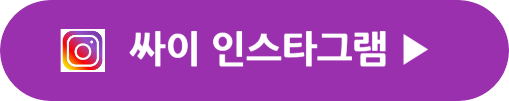 싸이 흠뻑쇼 2024 일정