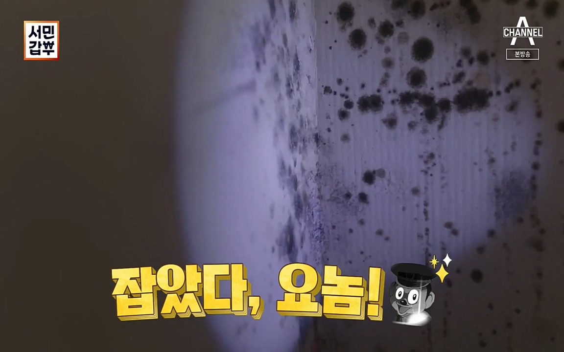 서민 갑부.E393.220724p-NEXT.mp4_20220724_142729.165.jpg