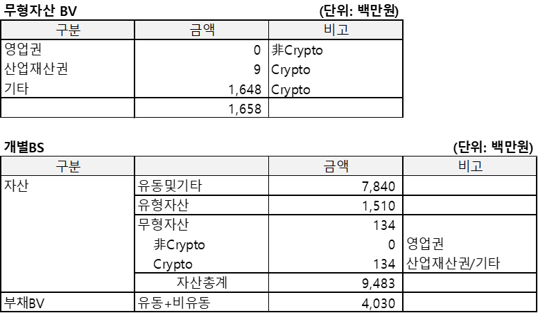 수퍼트리(2022.12)의 무형자산BV 및 개별BS를 정리한 표