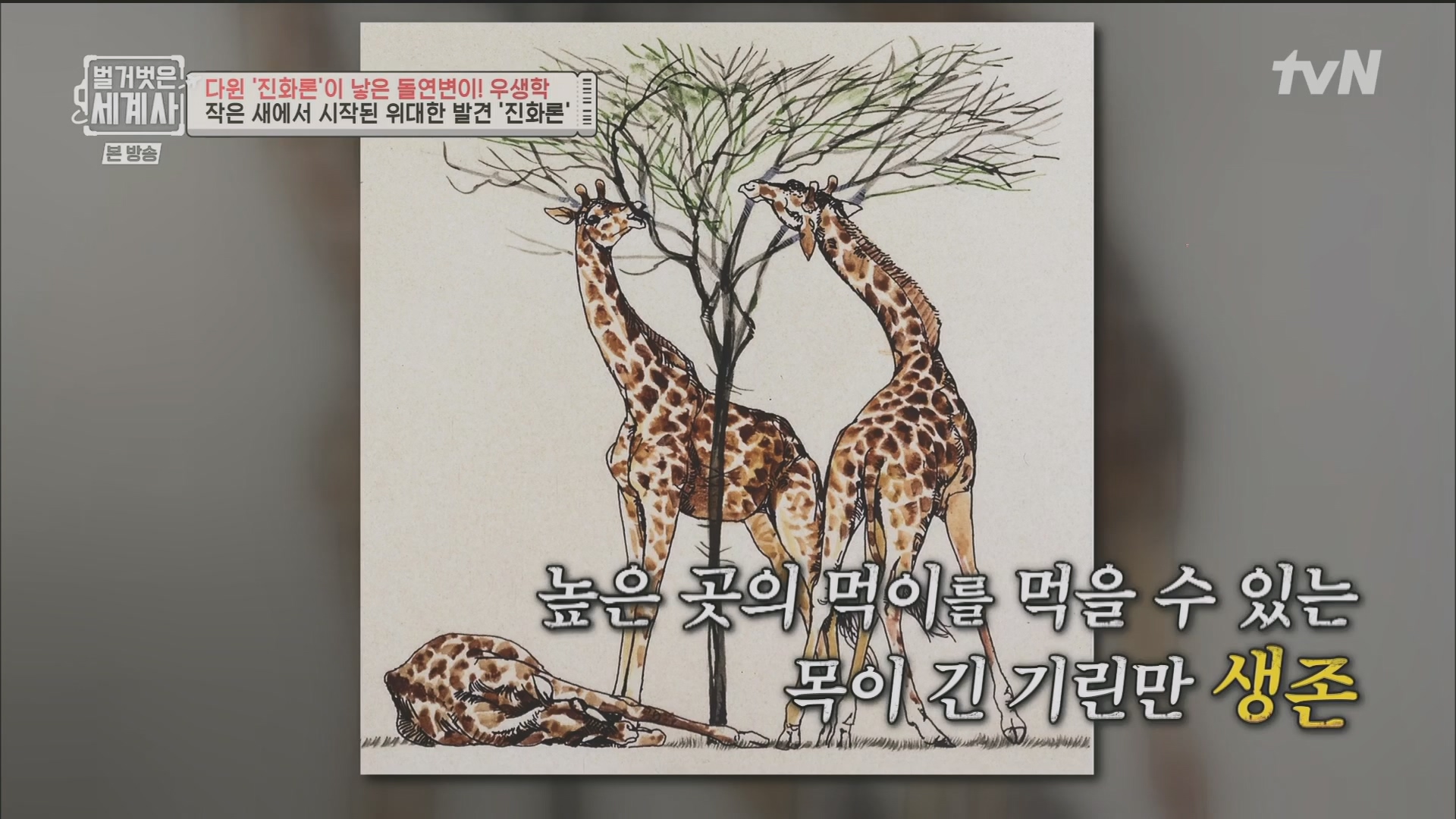 벌거벗은 세계사.E97.230502p.H264-F1RST.mp4_20231224_171025.707.jpg