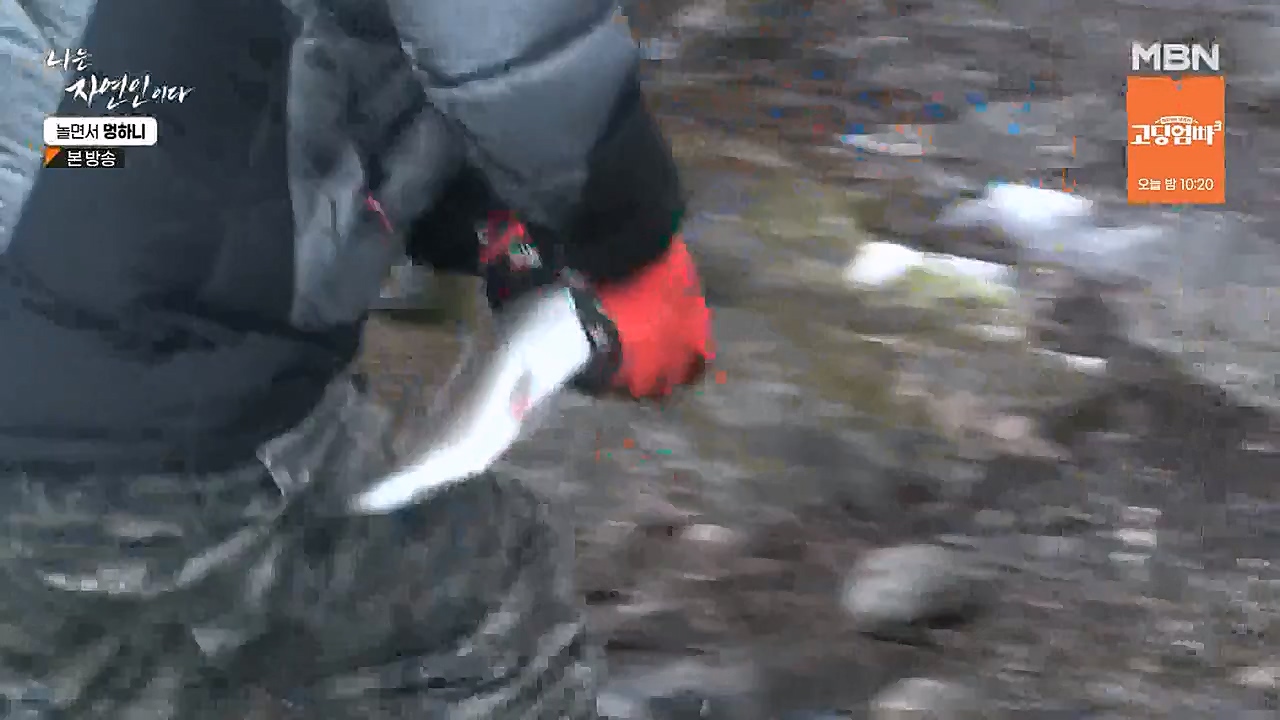 나는 자연인이다.E538.230126p-NEXT.mp4_20230126_194012.149.jpg