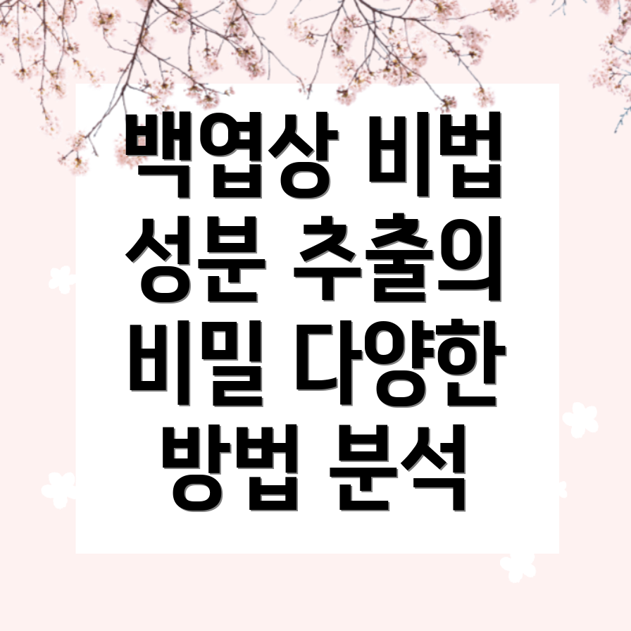 백엽상 성분 추출