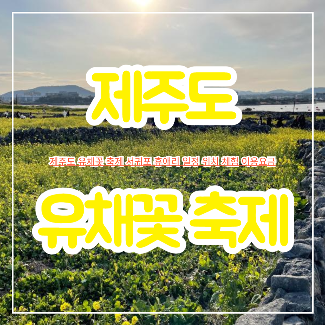 제주도_유채꽃_축제_서귀포_휴애리_일정_위치_체험_이용요금