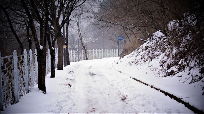 흰눈 쌓인 자전거길