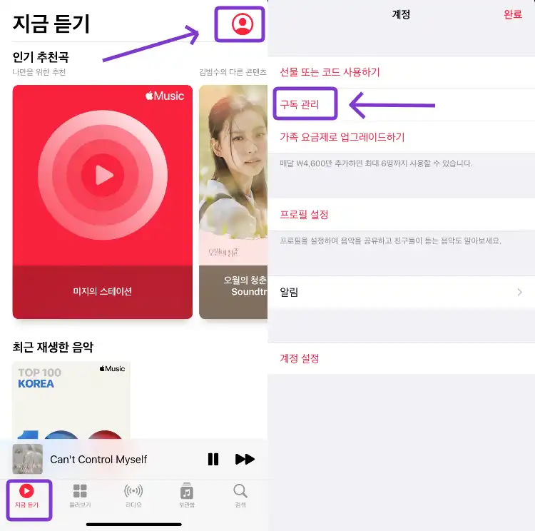 애플노래 이미지