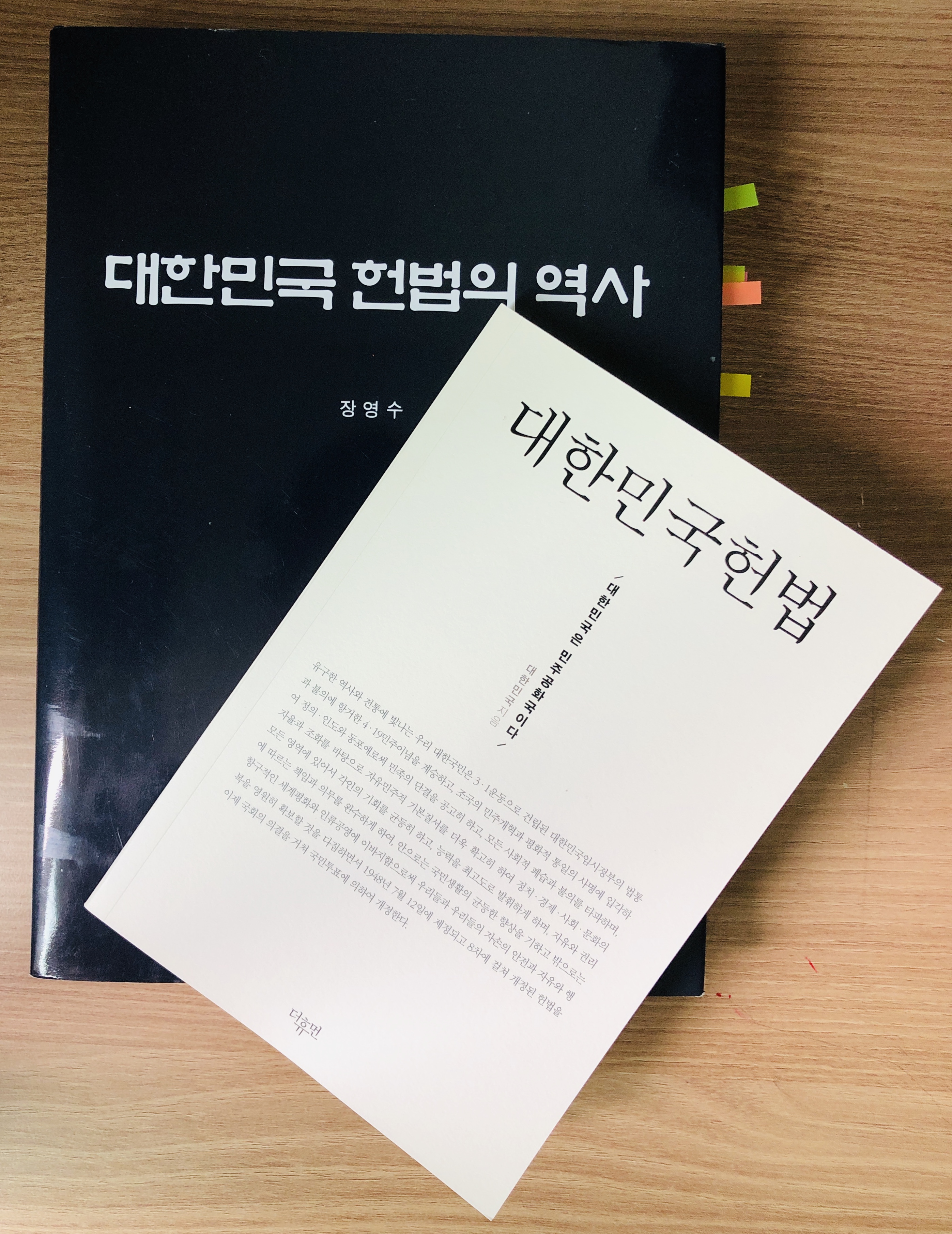  대한민국 헌법의 역사 #2 - 나라가 없으면 헌법도 없다.