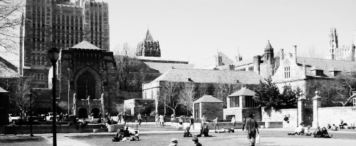 미국 대학 5위: Yale