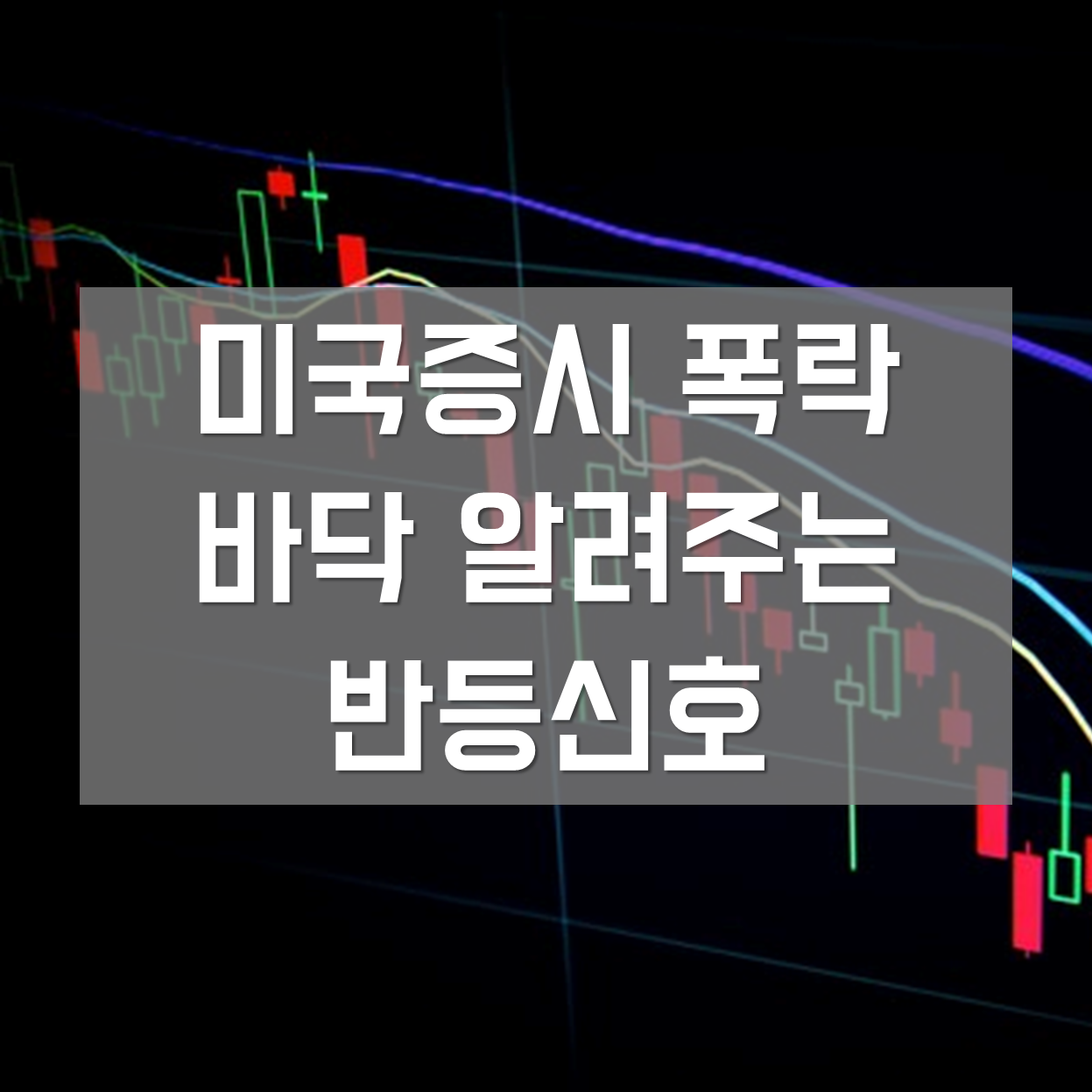  [미국증시 폭락] 반등을 알려주는 지표, 신호 4가지