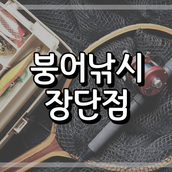  붕어낚시의 장단점 (낚시입문 고려사항)