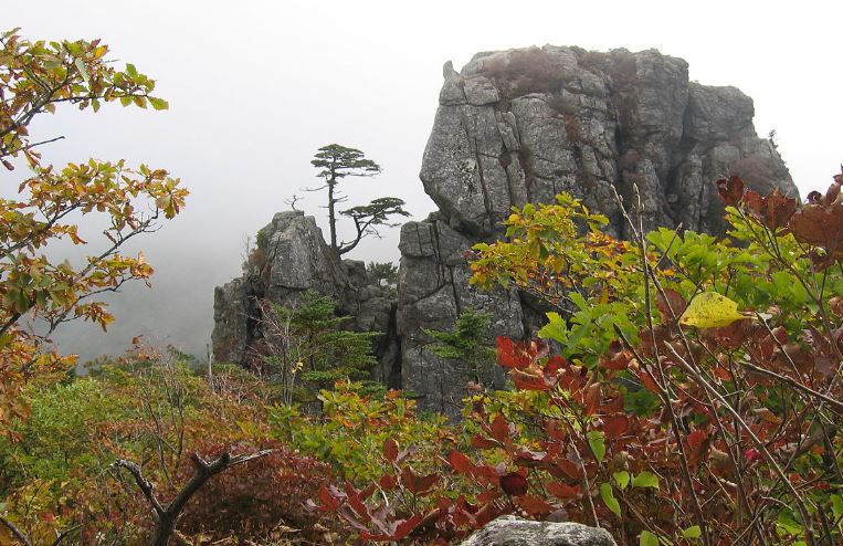  지리산 등산코스 추천