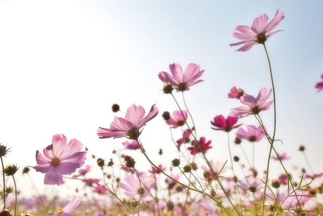 가을의 올림픽공원 산책로: 자연과 함께하는 힐링 산책