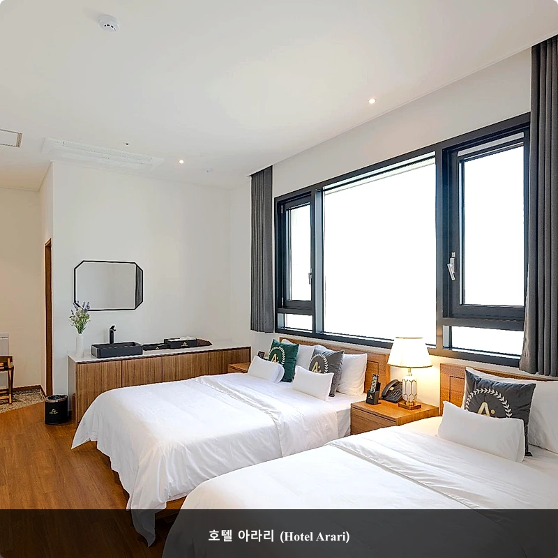 호텔 아라리 (Hotel Arari)_5