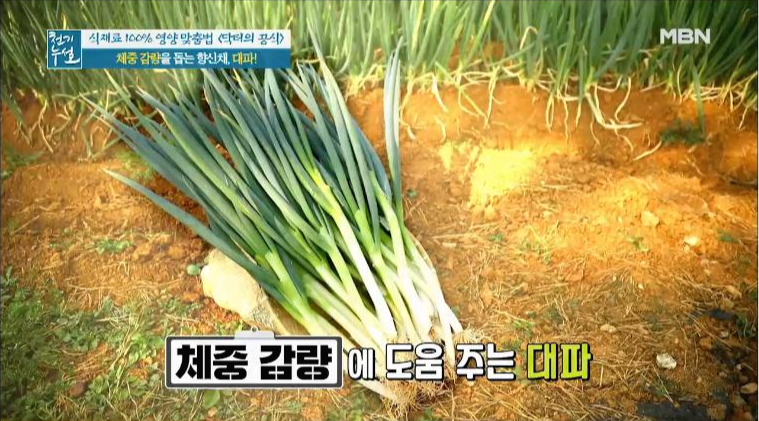  체지방감량을 돕는 대파, 차로 마시는 법(천기누설)