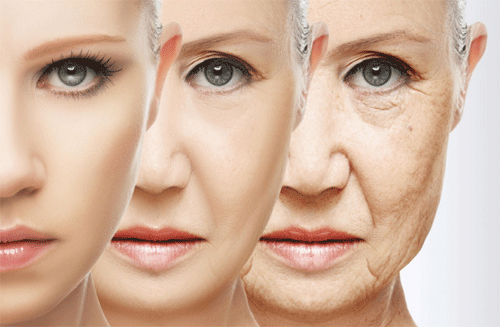 피부 노화를 유발하는 피부 노화 원인 음식, 피부에 나쁜 음식 5가지