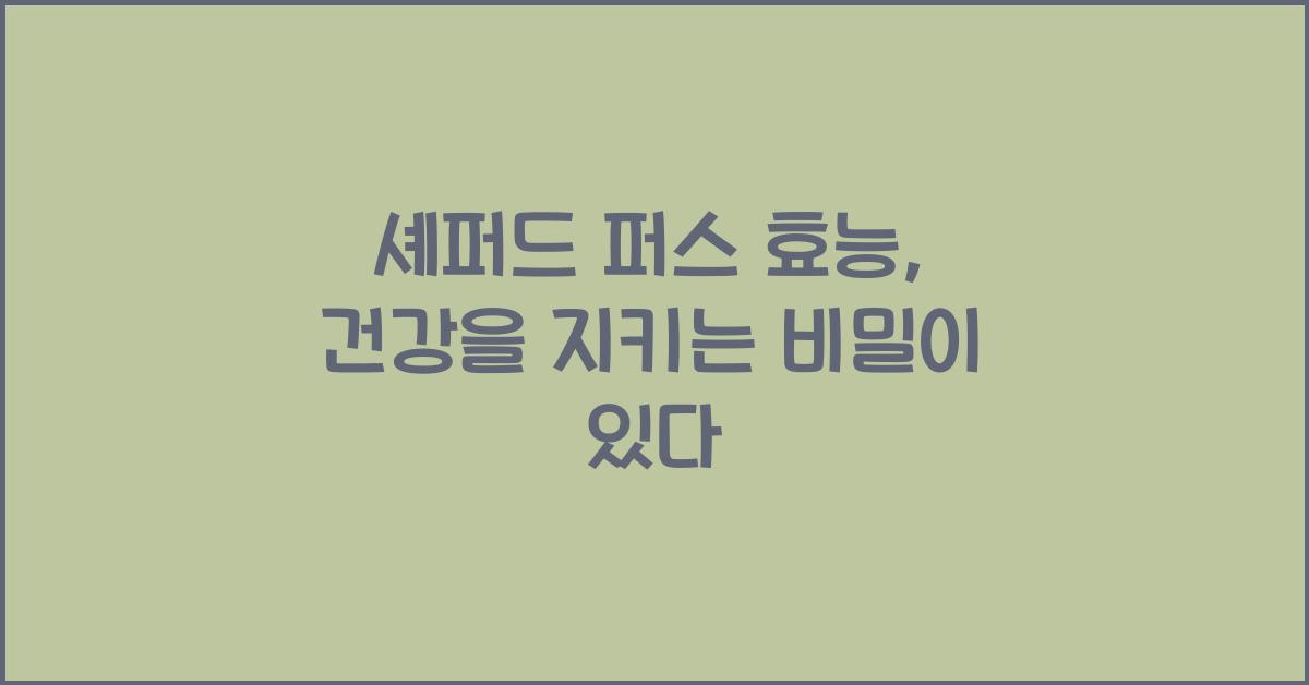 셰퍼드 퍼스 효능, 건강을 지키는 비밀이 있다